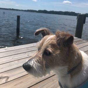 Meet your Posher, Frances